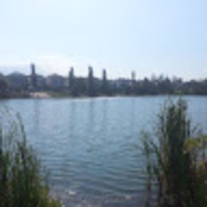 Meet your Posher, Lalitha